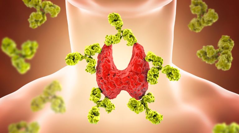 Natural Desiccated Thyroid (NDT)